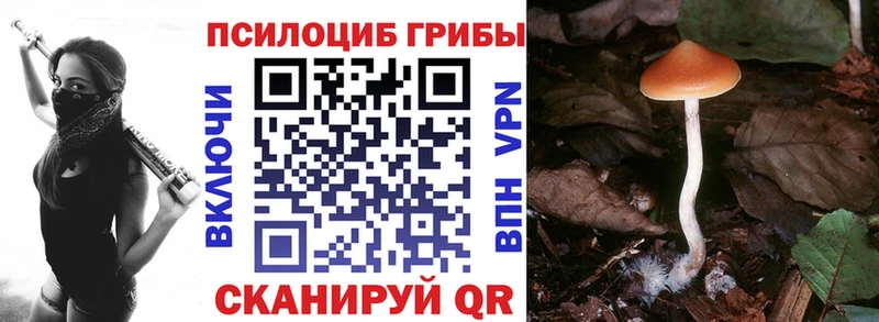 Галлюциногенные грибы мицелий  наркота  Козельск 